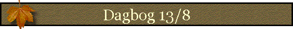Dagbog 13/8