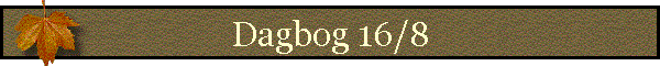 Dagbog 16/8