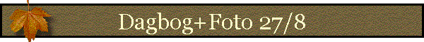 Dagbog+Foto 27/8