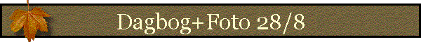 Dagbog+Foto 28/8