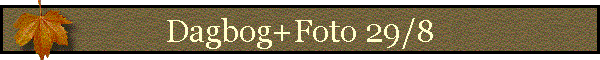 Dagbog+Foto 29/8