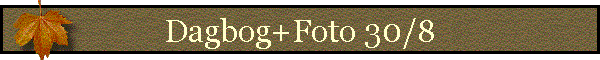 Dagbog+Foto 30/8