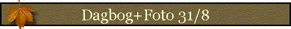 Dagbog+Foto 31/8