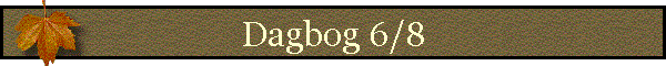 Dagbog 6/8