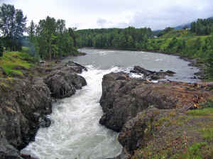 11 august 2007 web005.jpg (236804 byte)