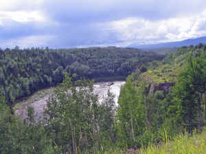 11 august 2007 web020.jpg (236240 byte)