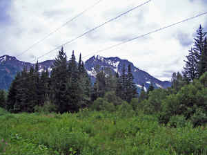 12 august 2007 web021.jpg (228584 byte)