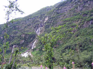 12 august 2007 web030.jpg (286816 byte)