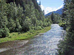 13 august 2007 web010.jpg (206871 byte)