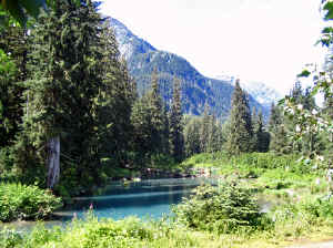 13 august 2007 web035.jpg (278116 byte)