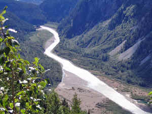 13 august 2007 web040.jpg (258150 byte)