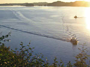 14 august 2007 web029.jpg (209886 byte)