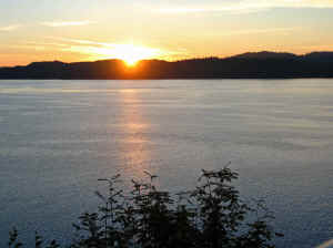 14 august 2007 web031.jpg (193707 byte)