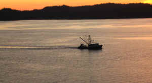 14 august 2007 web041.jpg (159902 byte)