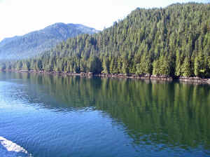 15 august 2007 web006.jpg (230636 byte)