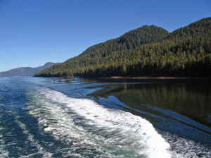 15 august 2007 web007.jpg (212142 byte)