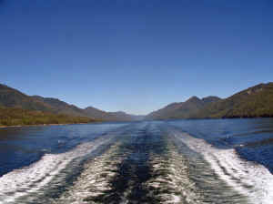 15 august 2007 web014.jpg (191438 byte)