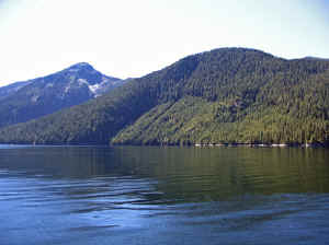 15 august 2007 web016.jpg (195404 byte)