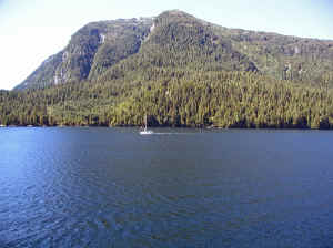 15 august 2007 web021.jpg (233917 byte)