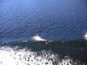 15 august 2007 web026.jpg (249529 byte)