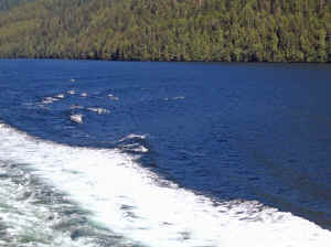 15 august 2007 web029.jpg (226106 byte)