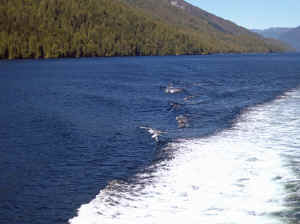 15 august 2007 web030.jpg (212499 byte)