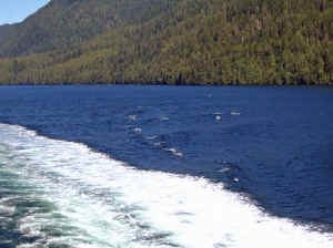 15 august 2007 web031.jpg (225425 byte)