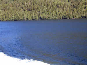 15 august 2007 web032.jpg (232339 byte)