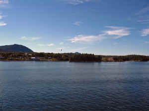 15 august 2007 web045.jpg (180904 byte)