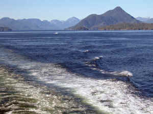 15 august 2007 web053.jpg (219197 byte)