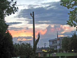 17 august 2007 web030.jpg (214512 byte)