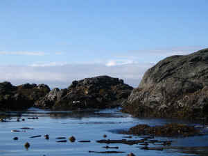 18 august 2007 web008.jpg (176424 byte)