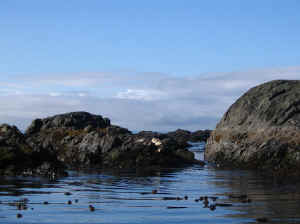 18 august 2007 web009.jpg (174126 byte)