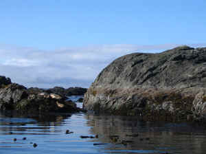 18 august 2007 web010.jpg (180087 byte)