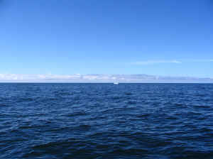 18 august 2007 web012.jpg (171834 byte)