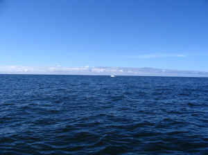 18 august 2007 web013.jpg (176503 byte)