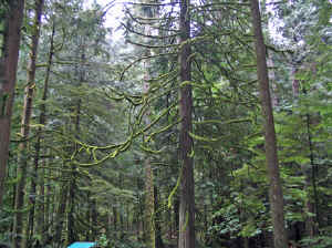 18 august 2007 web014.jpg (310452 byte)