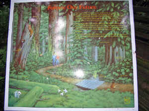 18 august 2007 web015.jpg (257634 byte)