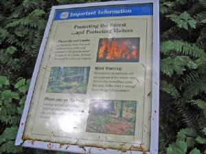 18 august 2007 web016.jpg (227108 byte)