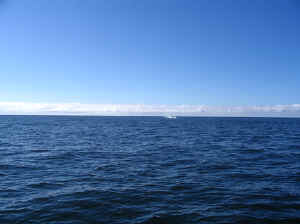 18 august 2007 web021.jpg (170351 byte)