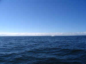 18 august 2007 web022.jpg (164478 byte)