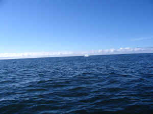 18 august 2007 web026.jpg (170651 byte)