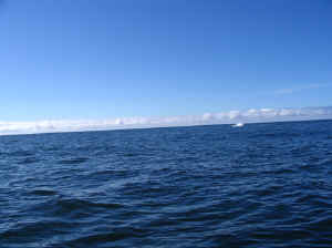 18 august 2007 web028.jpg (169789 byte)