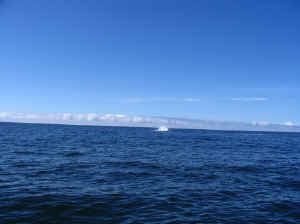 18 august 2007 web030.jpg (167129 byte)