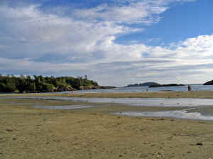 18 august 2007 web035.jpg (198841 byte)