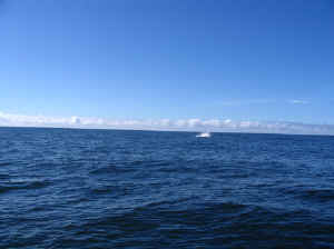 18 august 2007 web037.jpg (168160 byte)