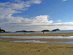 18 august 2007 web038.jpg (201756 byte)