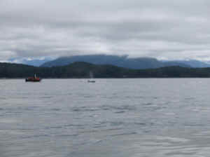 18 august 2007 web047.jpg (134543 byte)