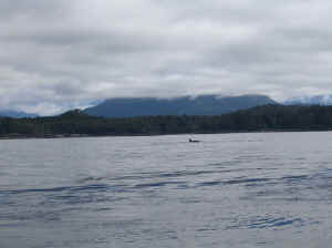 18 august 2007 web061.jpg (156091 byte)