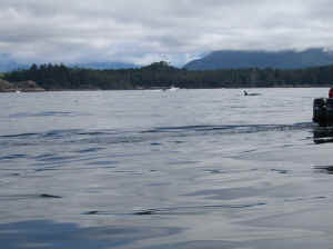 18 august 2007 web062.jpg (158470 byte)